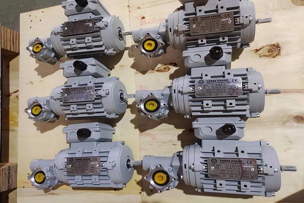 艾思捷為德資企業定制的紡織專用蝸輪蝸桿減速機.jpg